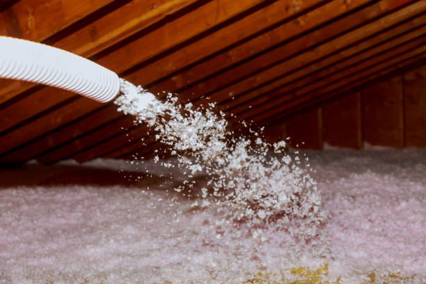Best Insulation Installation Services in Zumbrota, MN
