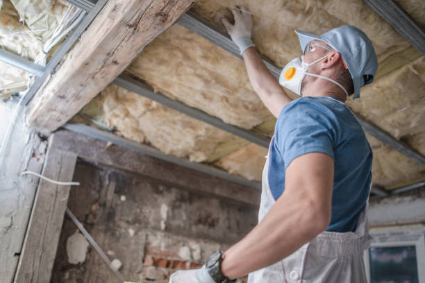 Best Types of Insulation in Zumbrota, MN
